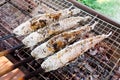 Grilled snakehead fish coated with sea salt Royalty Free Stock Photo