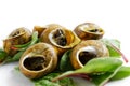 Grilled snales in shells on bed of beetroot leaves. White background. Royalty Free Stock Photo