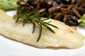 Grilled sole fish Royalty Free Stock Photo