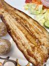 Grilled Sole Royalty Free Stock Photo