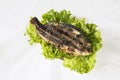 Grilled Sparus aurata with green salad on white background