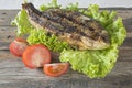 Grilled Sparus aurata with tomatoes and green salad on wooden background