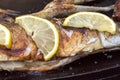 grilled spicy fish closeup. Cooking, the process. Fried fish for lunch or dinner.