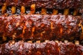 Grilled Spicy Spare Pork Ribs