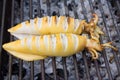 Grilled squid Royalty Free Stock Photo