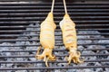 Grilled squid Royalty Free Stock Photo