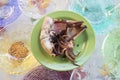 Grilled squid on a colored plate