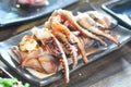 Grilled squid or grilled cuttlefish Royalty Free Stock Photo