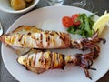 Grilled squid