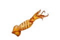 Grilled squid isolated on white backhround Royalty Free Stock Photo