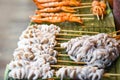 Grilled squid octopus on grill with skewer sticks at street food Royalty Free Stock Photo