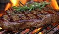 Grilled steak on barbecue grill. Closeup view. Outside BBQ party