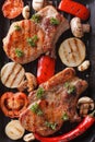 Grilled steak with vegetables on grill macro. Vertical top view Royalty Free Stock Photo