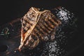 Grilled T-bone Steak on bones on wooden board Royalty Free Stock Photo