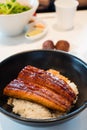 Grilled teriyaki eel rice bowl