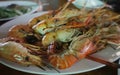 Grilled Thai Shrimp