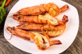 Grilled tiger prawn