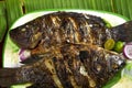 Grilled tilapia