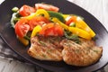 Grilled tilapia fillet, fresh salad with pepper and tomato close Royalty Free Stock Photo