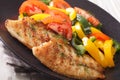 Grilled tilapia fillets and fresh vegetable salad close-up. horizontal Royalty Free Stock Photo