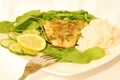 Grilled tilapia fish