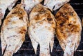 Grilled Tilapia fish