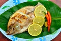 Grilled Tilapia with lemon and chili on banana leaves Royalty Free Stock Photo