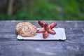 Grilled small pork sausage, specialty from Czech republic. Royalty Free Stock Photo