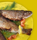 Grilled trout