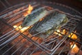 Grilled trout with fire in the background