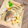 Grilled trout Royalty Free Stock Photo