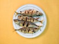 Grilled tuna dish served on a white plate isolated on orange background, flatlay, close-up