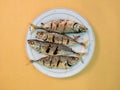 Grilled tuna dish served on a white plate isolated on orange background, flatlay, close-up