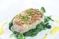 Grilled tuna steak Royalty Free Stock Photo