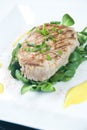 Grilled tuna steak