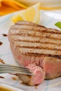 Grilled tuna steak Royalty Free Stock Photo