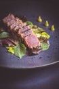 Grilled Tuna Steak with Salad and Wasabi Sauce Royalty Free Stock Photo