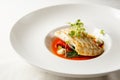 Grilled turbot, tabouli, sweet pepper sauce and summer vegetables. White dish Royalty Free Stock Photo