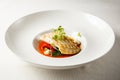 Grilled turbot, tabouli, sweet pepper sauce and summer vegetables. White dish Royalty Free Stock Photo