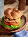 Grilled Turkey Burger Sandwich Royalty Free Stock Photo