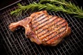 grilled veal chop with grill grid pattern visible Royalty Free Stock Photo