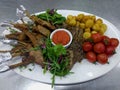 Grilled veal ribs, chicken skewers, cherry tomatoes and baked potatoes on a white plate Royalty Free Stock Photo