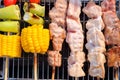 Grilled vegetable and chicken skewers on a hot barbecue Royalty Free Stock Photo