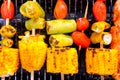 Grilled vegetable and chicken skewers on a hot barbecue Royalty Free Stock Photo