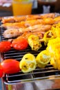 Grilled vegetable and chicken skewers on a hot barbecue Royalty Free Stock Photo