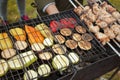 Grilled vegetable and meat skewers in a herb marinade on a grill, cooked in nature, top view Royalty Free Stock Photo