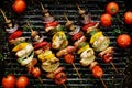 Grilled vegetable and meat skewers in a herb marinade on a grill pan Royalty Free Stock Photo