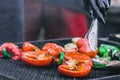 Grilled vegetable and meat skewers in a herb marinade on a grill pan, top view Royalty Free Stock Photo