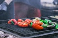 Grilled vegetable and meat skewers in a herb marinade on a grill pan, top view beautiful background Royalty Free Stock Photo