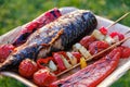 Grilled vegetable skewers and fish of mackerel in a herb marinade on a plate, onion, pepper zucchini tomato roasted barbecue Royalty Free Stock Photo